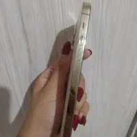 آیفون ۱۲ پرو ۲۵۶ گیگ|موبایل|فومن, |دیوار