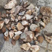 سنگ شجر مناسب نگین دکوری