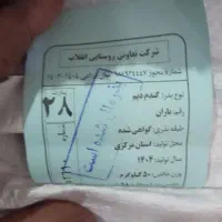 گندم دیم و آبی اصلاح نژاد لیبل دار|خدمات باغبانی و درختکاری|اراک, |دیوار