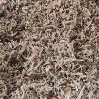 توفاله چقندر