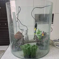 آکواریوم|ماهی|گرمدره, |دیوار