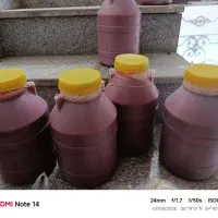 محصولات خانگی برکت