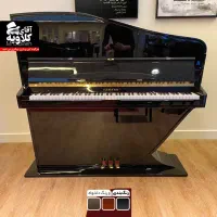 امکان سفارشی سازی بدنه /پیانو طرح آکوستیک منحنی/