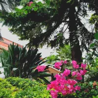 منشی ، دستیار