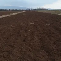 فروش یک قطعه زمین با مجوز گلخانه|فروش دفتر صنعتی، کشاورزی، تجاری|کرمانشاه, |دیوار