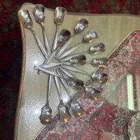 قاشق بستنی خوری