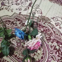 گل و گلدان مصنوعی|گل مصنوعی|شیراز, ریشمک|دیوار