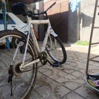 دوچرخه دماوند|دوچرخه، اسکیت، اسکوتر|تربت جام, جامرود|دیوار