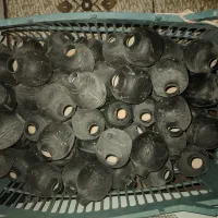 کله سفالی