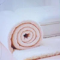 قالیشویی موج|خدمات نظافت|نیشابور, شهید بهشتی|دیوار