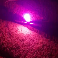 چراغ کوچک بنفش|لامپ و چراغ|سنندج, |دیوار