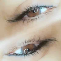 تخفیف اکستنشن مژه ،کاشت مژه،لیفت ابرو|خدمات آرایشگری و زیبایی|تهران, درختی|دیوار