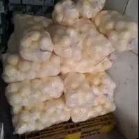 کره محلی سراب 230