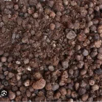 کود حیوانی گوسفند