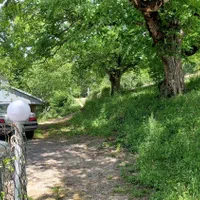 اجاره سوییت نوسازجنگلی روستایی