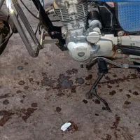 موتورسی جی|موتورسیکلت|جغتای, |دیوار