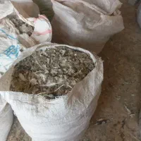کود|خدمات باغبانی و درختکاری|قنوات, |دیوار