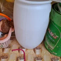 تعداد هزار عدد دبه ۱۰ کیلویی وسیصد عدد دبه ۲۲ کیلو|ظروف نگهدارنده، پلاستیکی، یکبارمصرف|شهرکرد, |دیوار