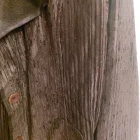 لباس پالتو|لباس|تهران, امیریه|دیوار