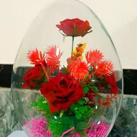 گل بزرگ داخل باکس