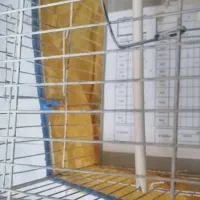 فنچ لپ قهوه ای نر|پرنده|شیراز, فرگاز|دیوار