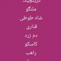 پرنده زینتی