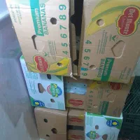 سبد سالم و کارتن