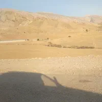 مرغداری فروش یا معاوضه با ملک تو تهران|اجارهٔ دفتر صنعتی، کشاورزی، تجاری|آبدانان, |دیوار