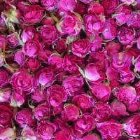 فروشنده خانم دارو گیاهی
