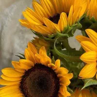 باهزینه بسیارکم و تضمینی برای عید یه تغیرحسابی کن