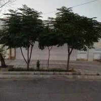 استخدام آشپز رستوران