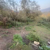 زمین بافت مسکونی منطقه زیبا لفور|فروش زمین و ملک کلنگی|آلاشت, |دیوار