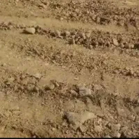 فروش زمین جزایری نیلوفر۱۵