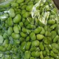 باقالی درجه ۱ کاشانی