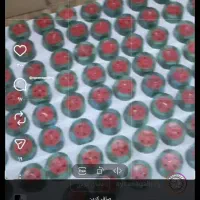 تم یلدایی|صنایع دستی و سایر لوازم تزئینی|بندرعباس, |دیوار