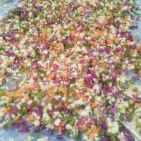 ترشی  لیته تهیه شده باسرکه سیب خانگی آب گوجه تازه