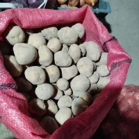 سیب‌زمینی چهار کیلو صدتومان.