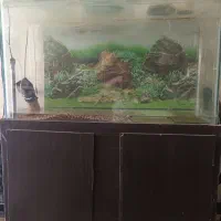 فروش آکواریوم با لوازم کامل