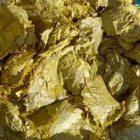 برگ مو * برگ انگور* دلمه|خوردنی و آشامیدنی|هشتگرد, شهرک ولیعصر (مصلی)|دیوار