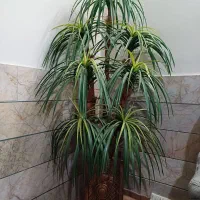 درختچه مصنوعی