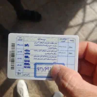 مفقودی گواهینامه