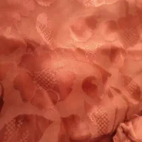 نیمه ابریشم