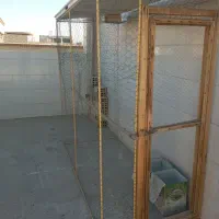 قفس|لوازم جانبی حیوانات|فلاورجان, |دیوار