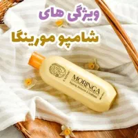 شامپو مورینگا