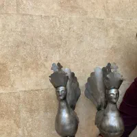 فروشی حیون علم