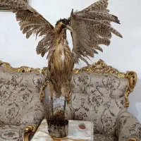 پرنده دکوری