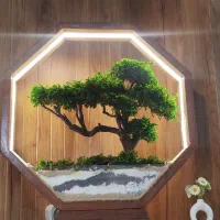 درخت بنسای هدیه ای خاص