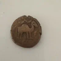 مزایده فلوس شتر