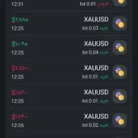 اجاره کپی ترید ربات تریدر واقعی/ربات بانکی فارکس|خدمات رایانه‌ای و موبایل|تهران, ونک|دیوار