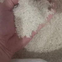 برنج هاشمی دره رود اصل درجه یک تضمینی